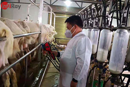 乳製品業界におけるサーマルカメラの応用: 乳牛とヤギの病気を迅速に発見する