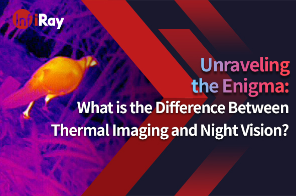 Cover-What_is_the_Difference_Between_Thermal_Imaging_and_Night_Vision_590x390-2.jpg