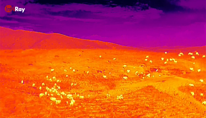 05Searching_from_higher_ground_with_thermal_cameras.png