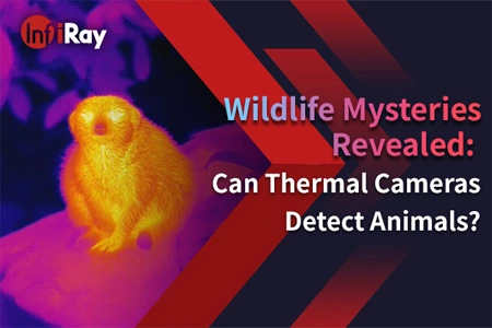 明らかにされた野生生物の謎: サーマルカメラは動物を検出できますか?